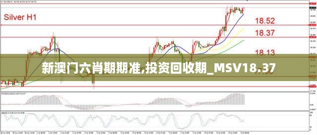 新澳门六肖期期准,投资回收期_MSV18.37