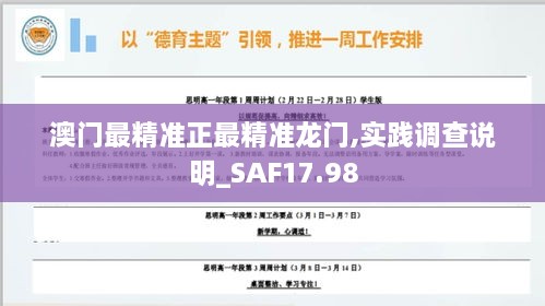 澳门最精准正最精准龙门,实践调查说明_SAF17.98