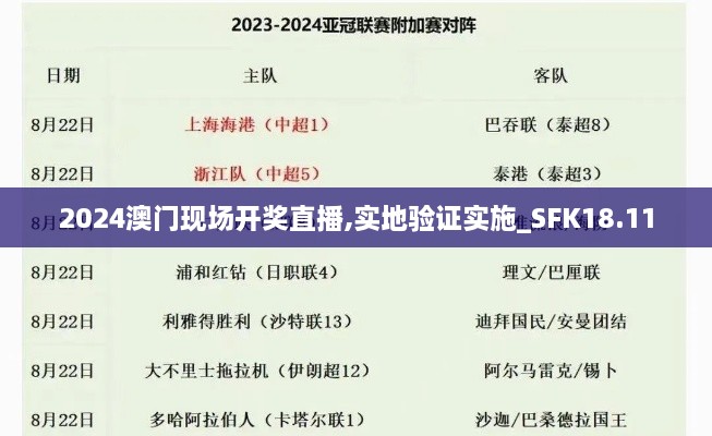 2024澳门现场开奖直播,实地验证实施_SFK18.11