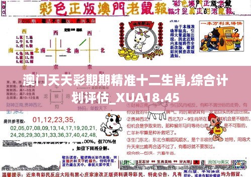 澳门天天彩期期精准十二生肖,综合计划评估_XUA18.45