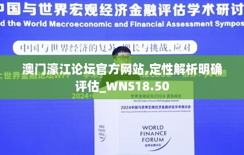 澳门濠江论坛官方网站,定性解析明确评估_WNS18.50