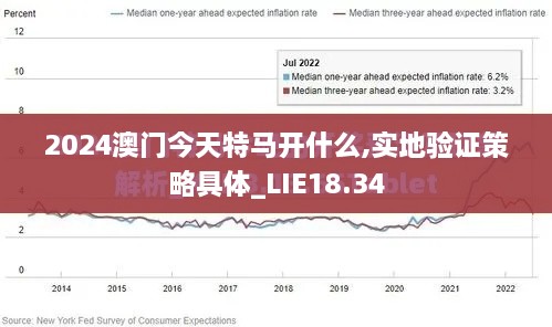 2024澳门今天特马开什么,实地验证策略具体_LIE18.34