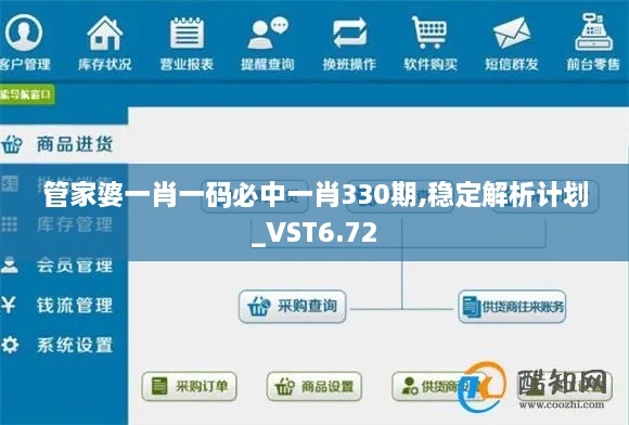 管家婆一肖一码必中一肖330期,稳定解析计划_VST6.72