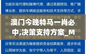 澳门今晚特马一肖必中,决策支持方案_MJE18.58