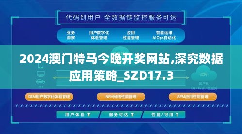 2024澳门特马今晚开奖网站,深究数据应用策略_SZD17.3