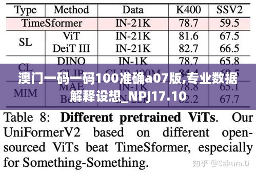 澳门一码一码100准确a07版,专业数据解释设想_NPJ17.10