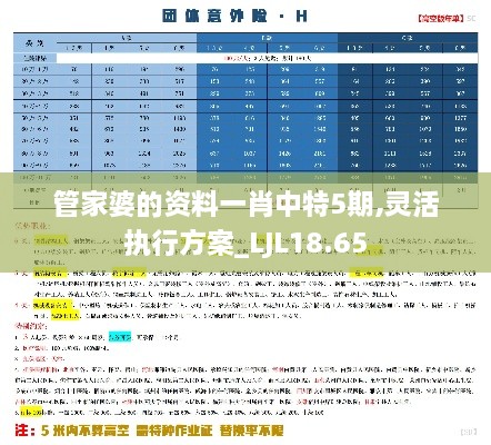 管家婆的资料一肖中特5期,灵活执行方案_LJL18.65