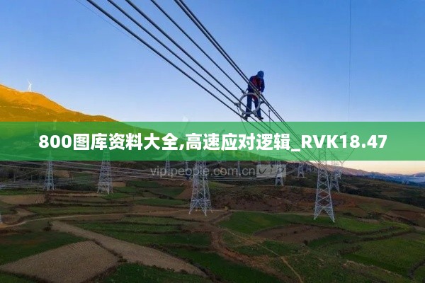 800图库资料大全,高速应对逻辑_RVK18.47