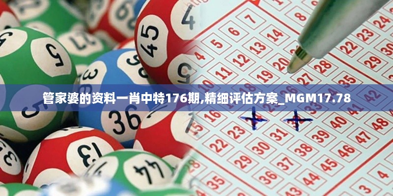 管家婆的资料一肖中特176期,精细评估方案_MGM17.78