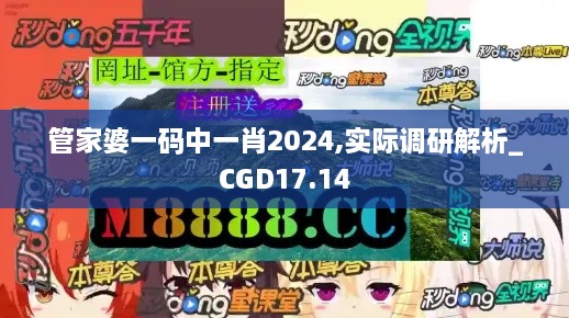 管家婆一码中一肖2024,实际调研解析_CGD17.14