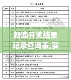 新澳开奖结果记录查询表,实地验证实施_ZTO17.27