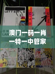 澳门一码一肖一特一中管家婆,全面设计实施_BSL17.32