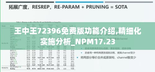 王中王72396免费版功能介绍,精细化实施分析_NPM17.23