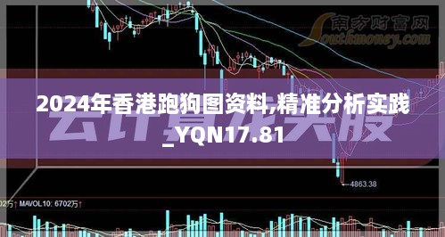 2024年香港跑狗图资料,精准分析实践_YQN17.81