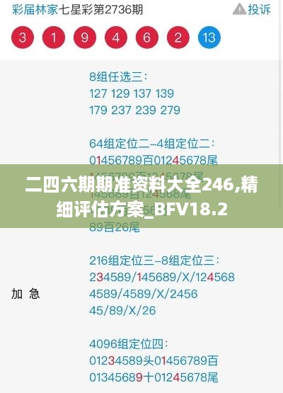 二四六期期准资料大全246,精细评估方案_BFV18.2