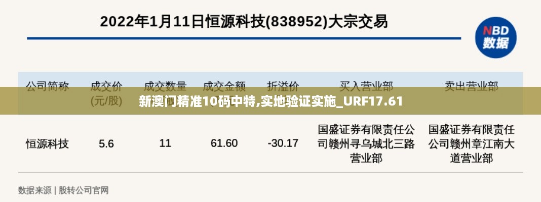 新澳门精准10码中特,实地验证实施_URF17.61