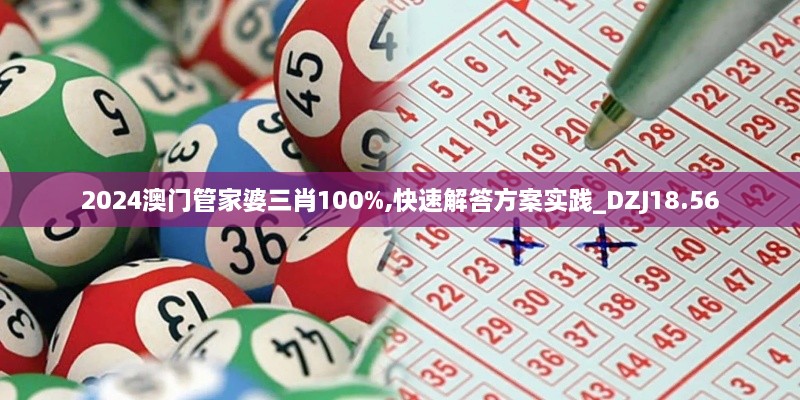 2024澳门管家婆三肖100%,快速解答方案实践_DZJ18.56