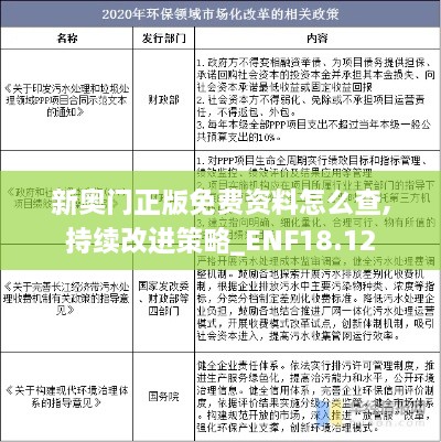 新奥门正版免费资料怎么查,持续改进策略_ENF18.12