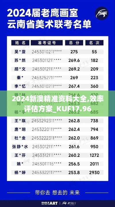 2024新澳精准资料大全,效率评估方案_KUF17.96