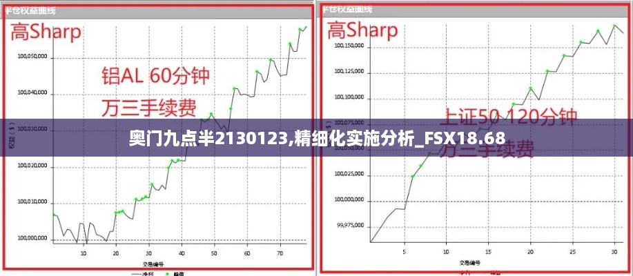 奥门九点半2130123,精细化实施分析_FSX18.68