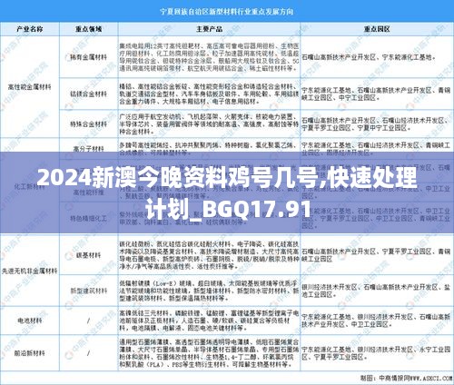 2024新澳今晚资料鸡号几号,快速处理计划_BGQ17.91