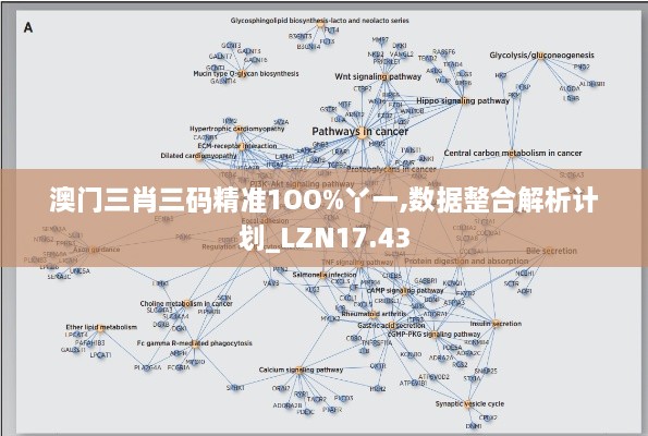 澳门三肖三码精准1OO%丫一,数据整合解析计划_LZN17.43