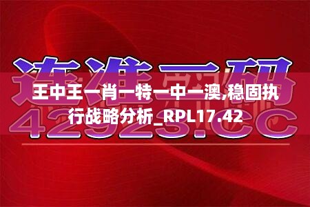 王中王一肖一特一中一澳,稳固执行战略分析_RPL17.42