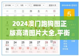 2024澳门跑狗图正版高清图片大全,平衡计划息法策略_RZS18.69