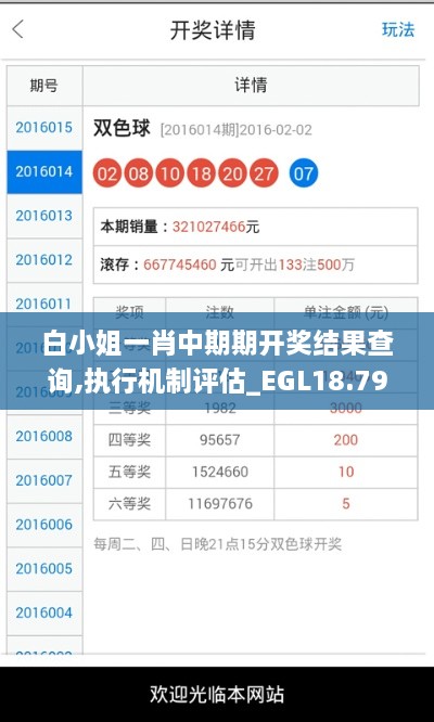 白小姐一肖中期期开奖结果查询,执行机制评估_EGL18.79