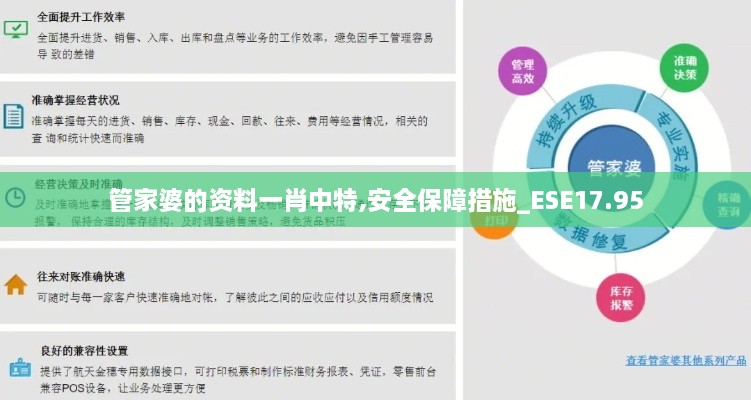 管家婆的资料一肖中特,安全保障措施_ESE17.95