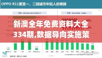 新澳全年免费资料大全334期,数据导向实施策略_VBW9.22