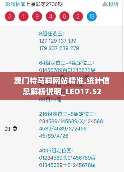 澳门特马料网站精准,统计信息解析说明_LEO17.52