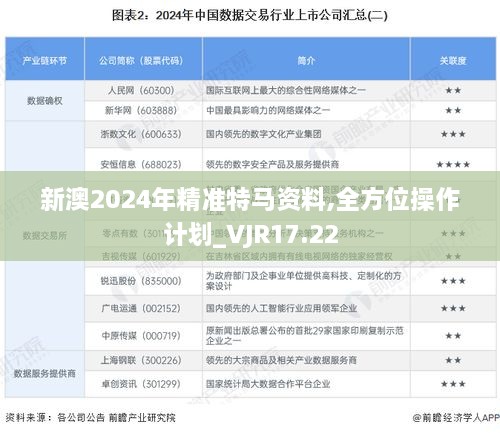 新澳2024年精准特马资料,全方位操作计划_VJR17.22