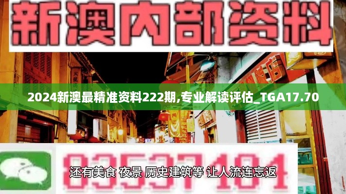 2024新澳最精准资料222期,专业解读评估_TGA17.70