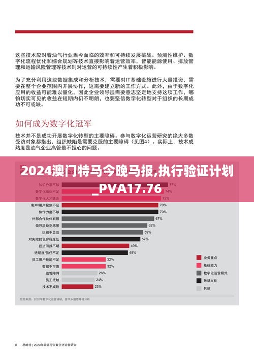 2024澳门特马今晚马报,执行验证计划_PVA17.76