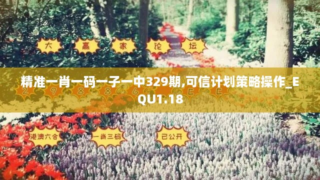 精准一肖一码一子一中329期,可信计划策略操作_EQU1.18