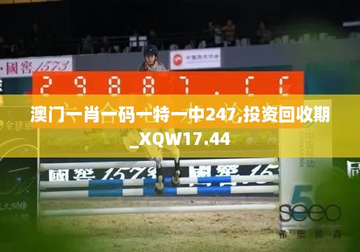 澳门一肖一码一特一中247,投资回收期_XQW17.44