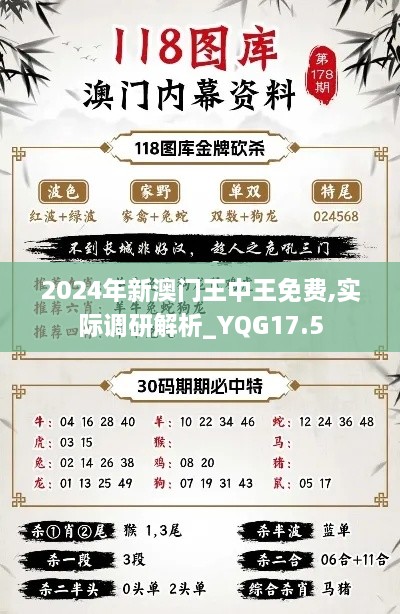 2024年新澳门王中王免费,实际调研解析_YQG17.5