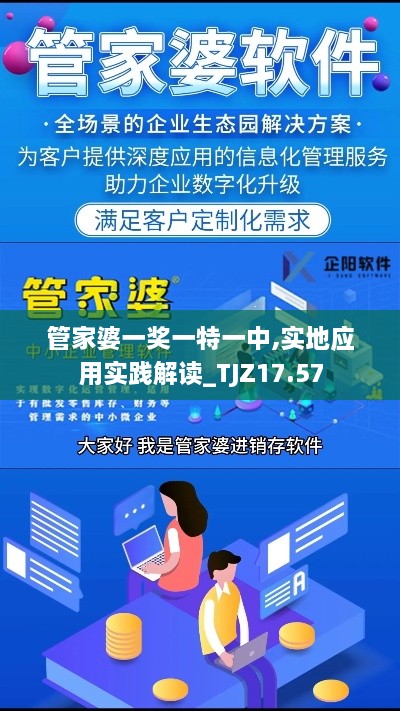 管家婆一奖一特一中,实地应用实践解读_TJZ17.57