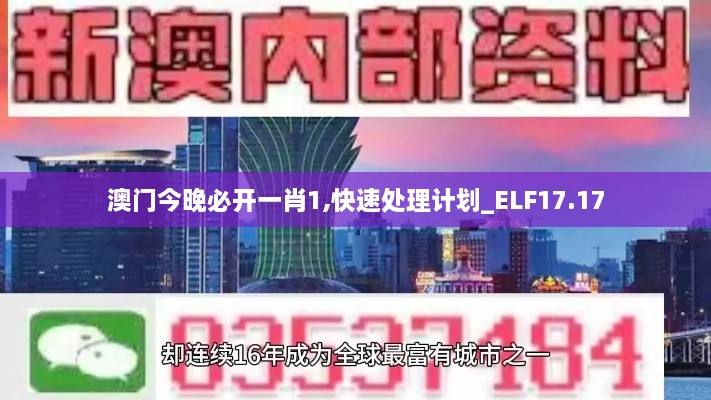 澳门今晚必开一肖1,快速处理计划_ELF17.17