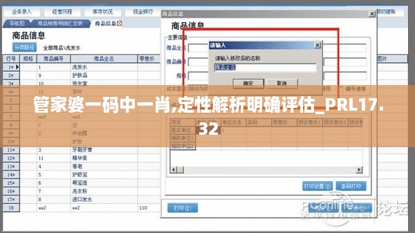 管家婆一码中一肖,定性解析明确评估_PRL17.32