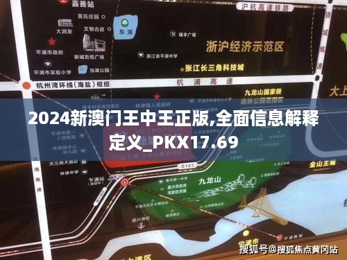 2024新澳门王中王正版,全面信息解释定义_PKX17.69