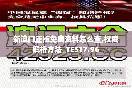 新澳门正版免费资料怎么查,权威解析方法_TES17.96