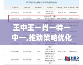 王中王一肖一特一中一,推动策略优化_YEB18.96