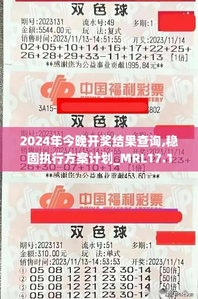 2024年今晚开奖结果查询,稳固执行方案计划_MRL17.1