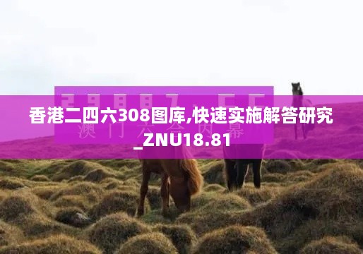 香港二四六308图库,快速实施解答研究_ZNU18.81