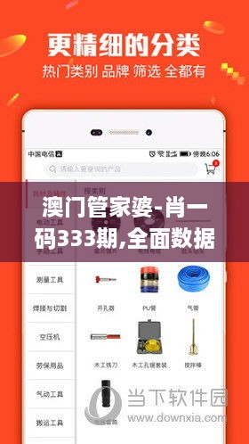 澳门管家婆-肖一码333期,全面数据应用实施_HLH9.26