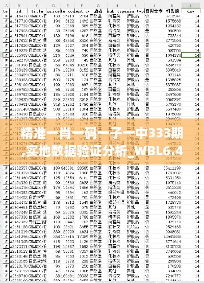 精准一肖一码一子一中333期,实地数据验证分析_WBL6.42