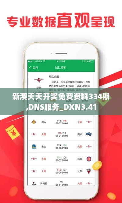 新澳天天开奖免费资料334期,DNS服务_DXN3.41