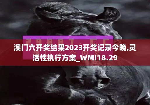 澳门六开奖结果2023开奖记录今晚,灵活性执行方案_WMI18.29